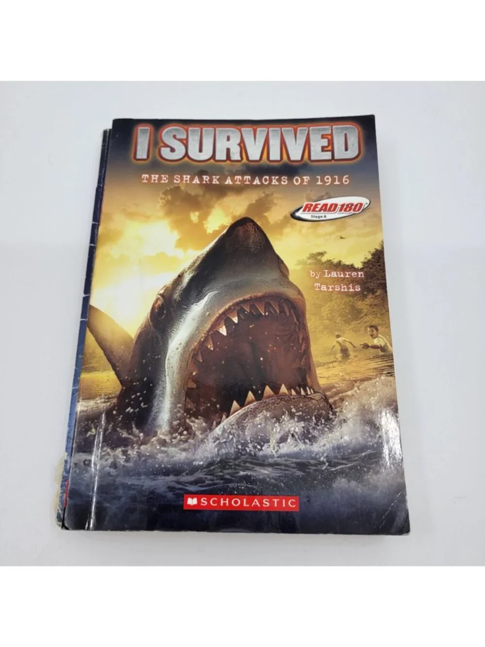 I SURVIVED Lot of 10 Juvenile Historical NonFiction Chapter Books - BK104